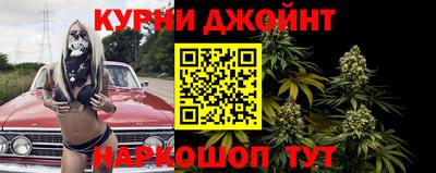 крисы Аргун