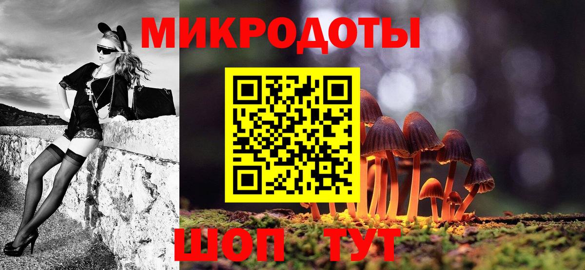 Псилоцибиновые грибы Psilocybine cubensis Волжский